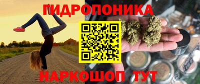 стаф Ярославль