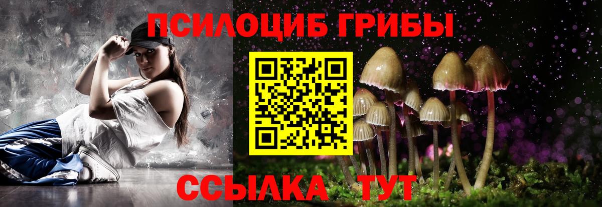 Новоалтайск  Псилоцибиновые грибы мицелий  Вход с VPN 