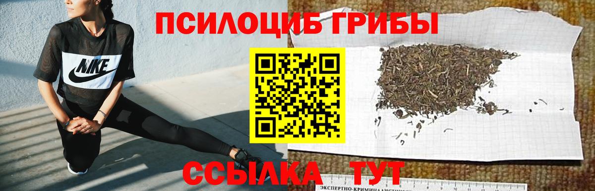 Галлюциногенные грибы ЛСД Новоалтайск