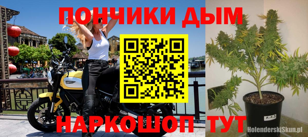 Марихуана Bruce Banner  Бошки марихуана план  Новоалтайск  Канабис семена  Вход с VPN  Марихуана планчик 